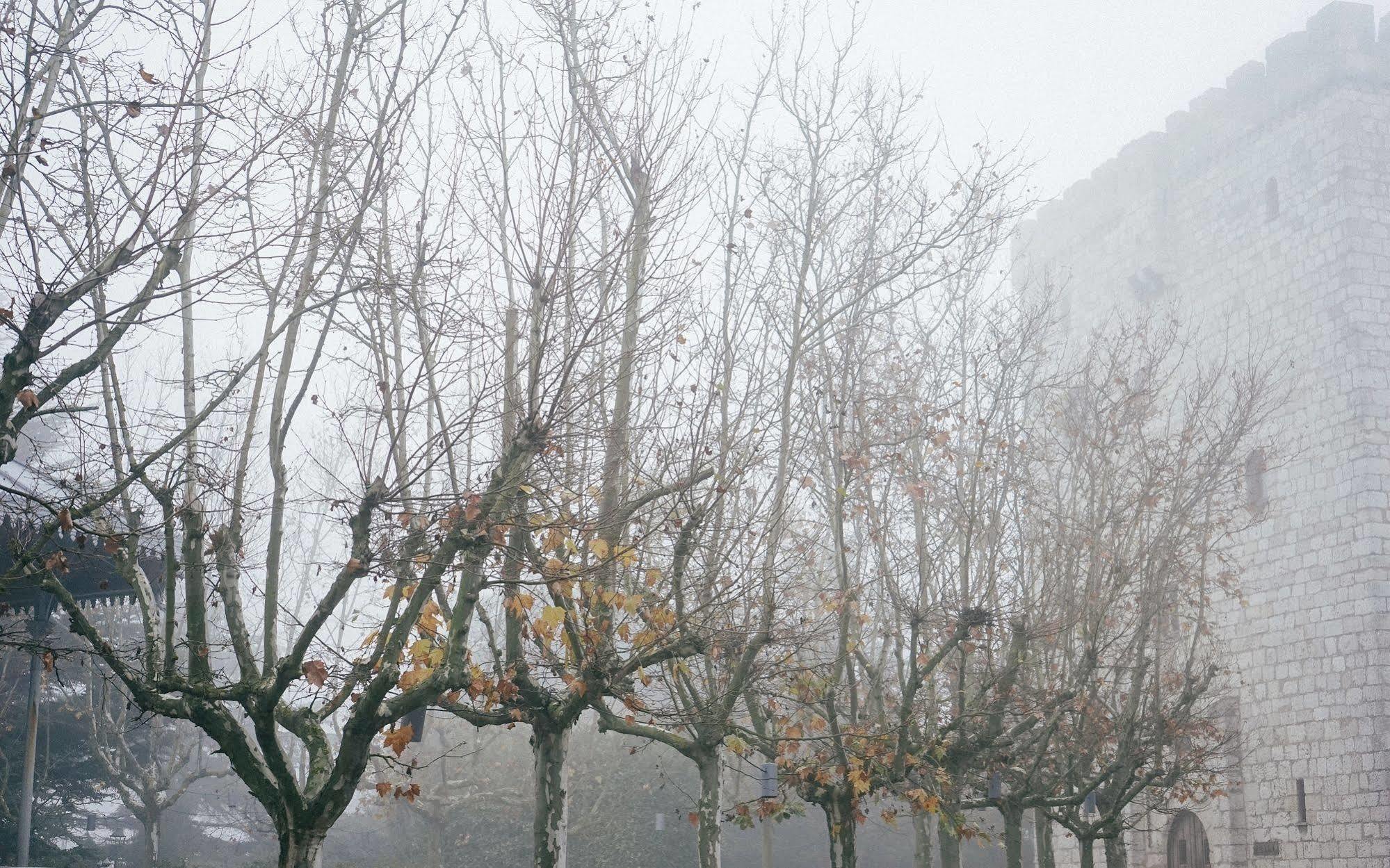 Hotel Landa Burgo Exterior foto Trees in winter